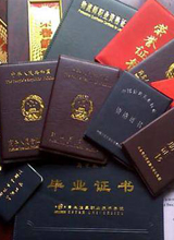 员工学历证书